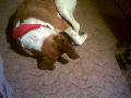 Boby
